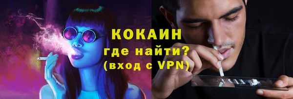 твердый Губаха