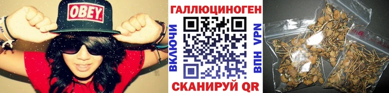 кракен сайт  Ладушкин  Галлюциногенные грибы мицелий 